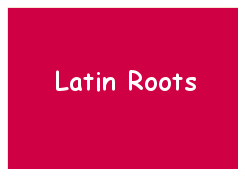 Latin Roots Quiz